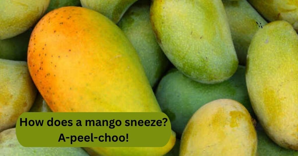 Short Mango Jokes