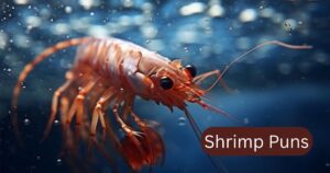 Shrimp Puns