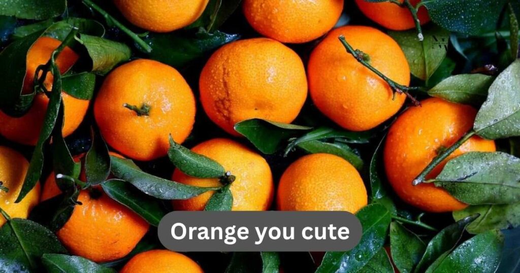 Swoon-Citrus Funny Puns