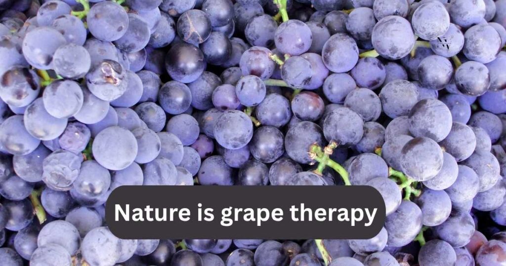 The Grape Outdoors Nature-Inspired Fruity Fun