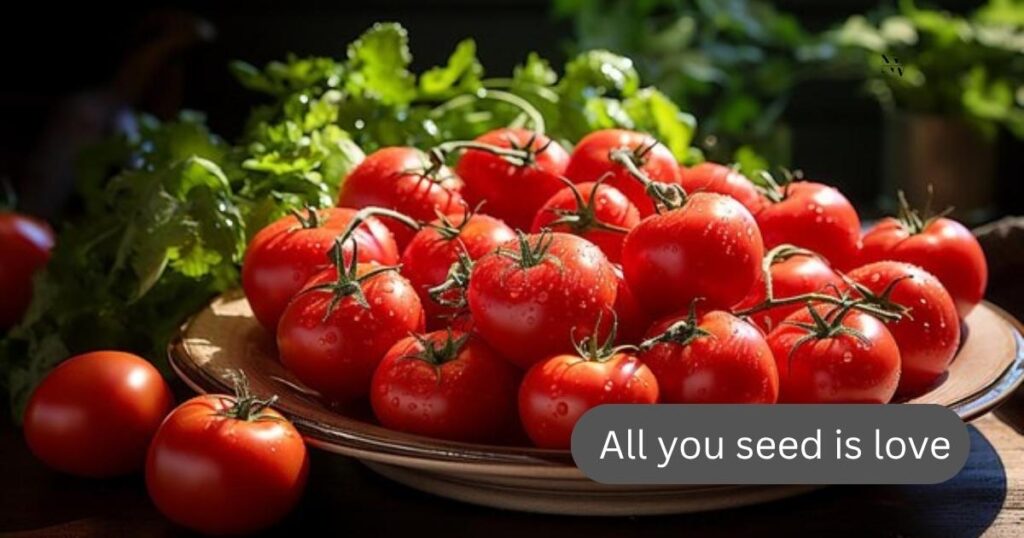 Tomato Puns
