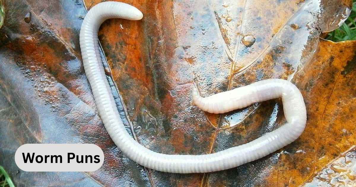 Worm Puns