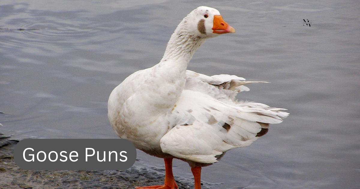 goose puns