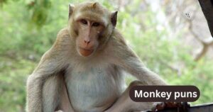 monkey puns