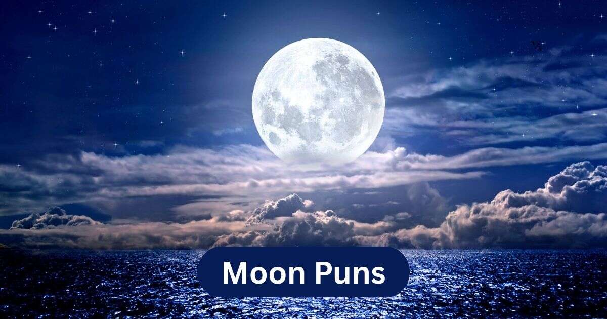 moon puns