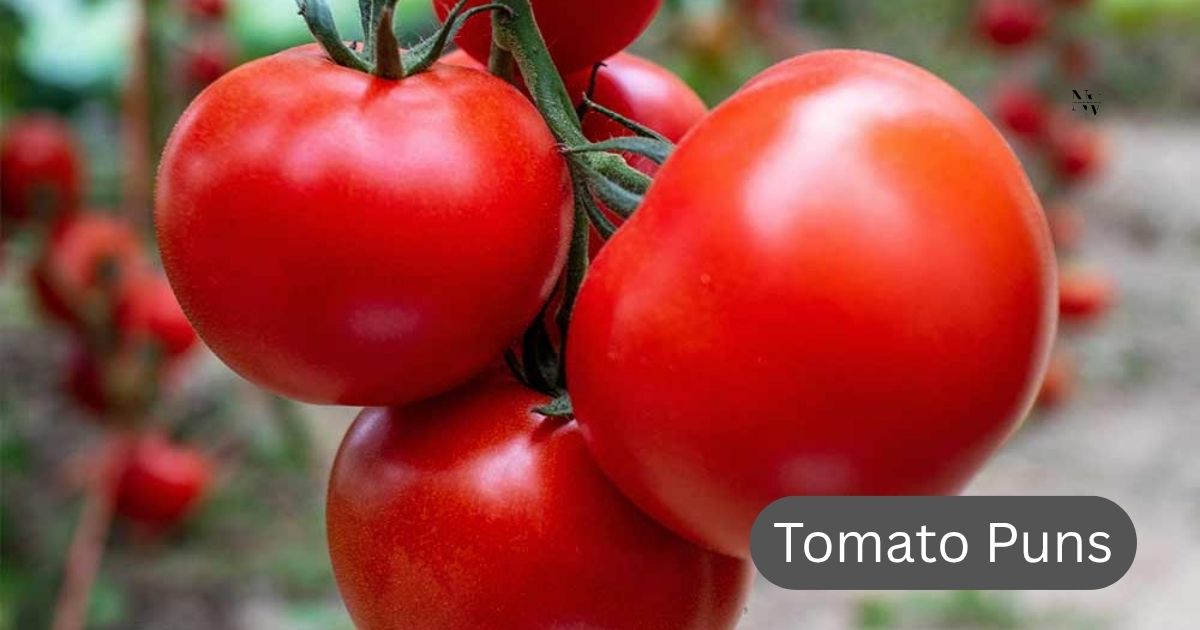tomato puns