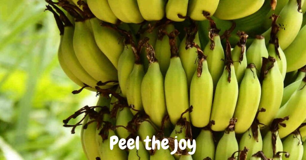 Banana Puns Captions & Jokes