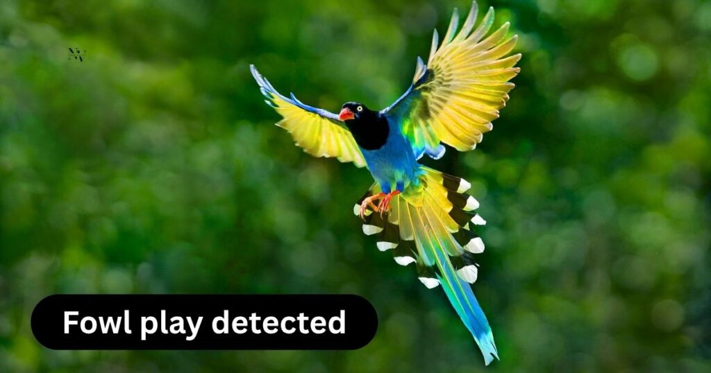 Everyday Humor to Keep You Clucking