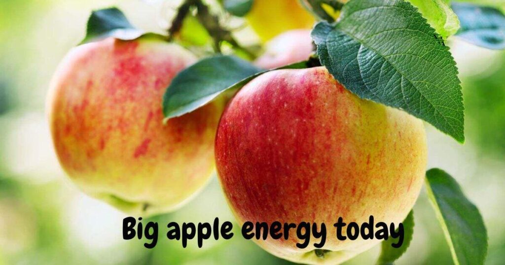 Everyday Humor with a Bushel of Sass