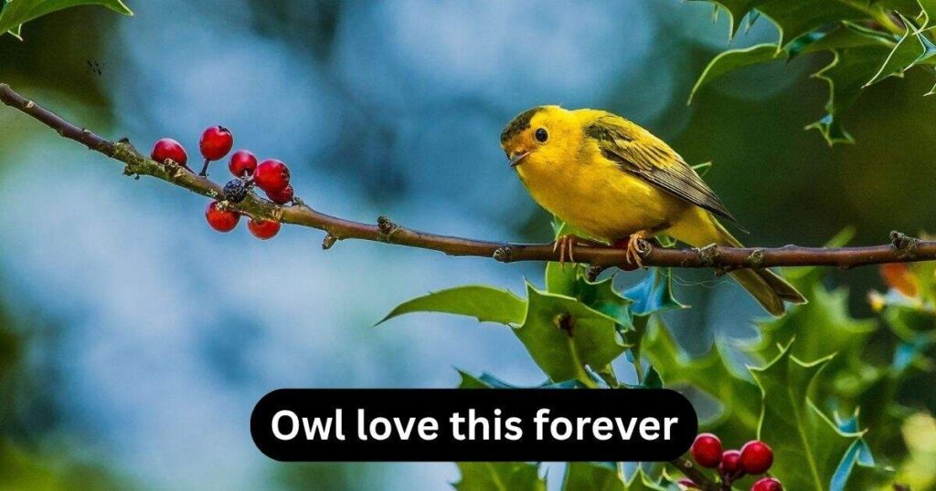 One-Liners You’ll Be Raven About