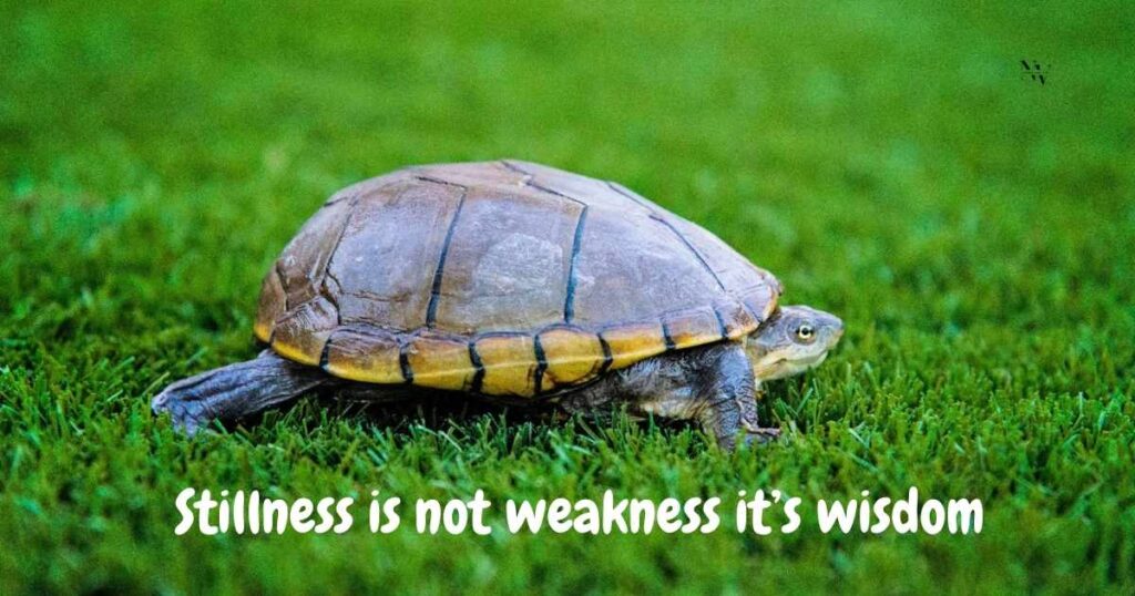 Philosophical and Life Quote Puns