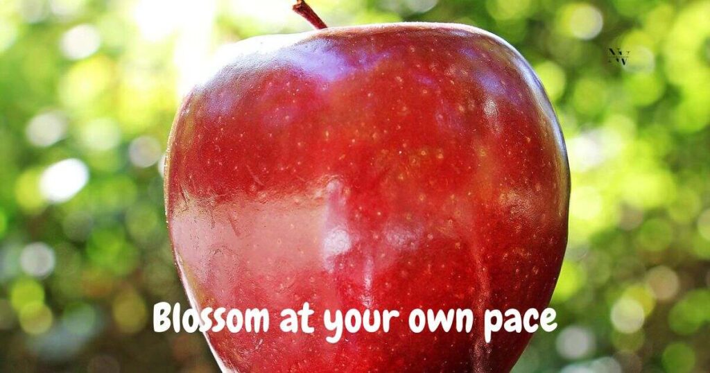 Silly Sayings and Sweet Life Advice