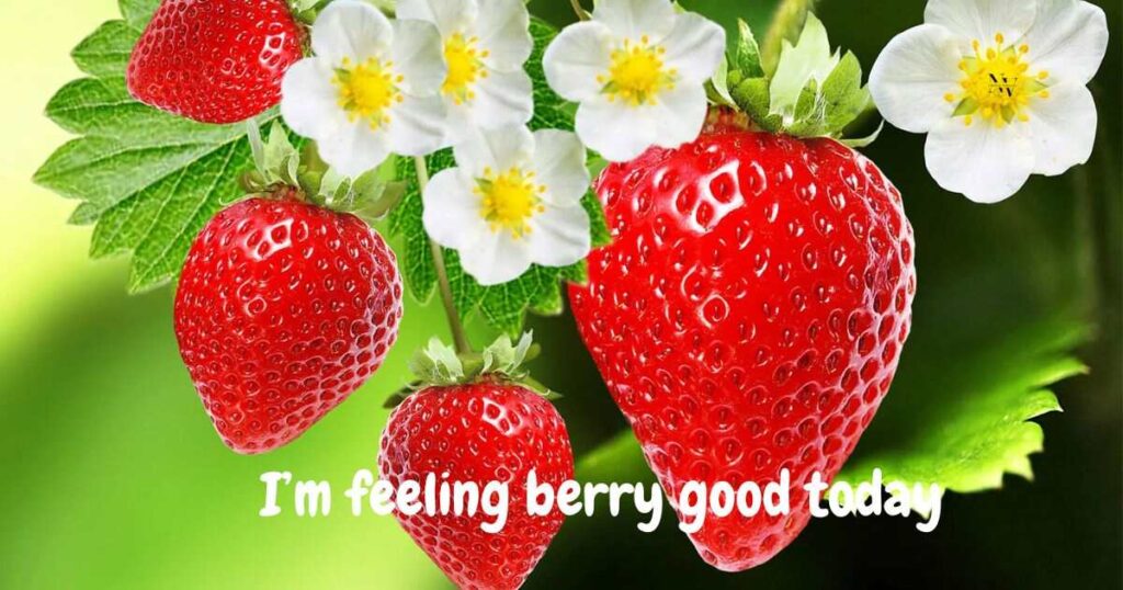 Strawberry Puns One-Liners