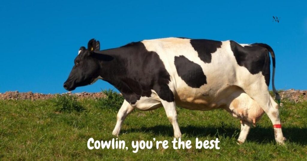Cow Puns Name